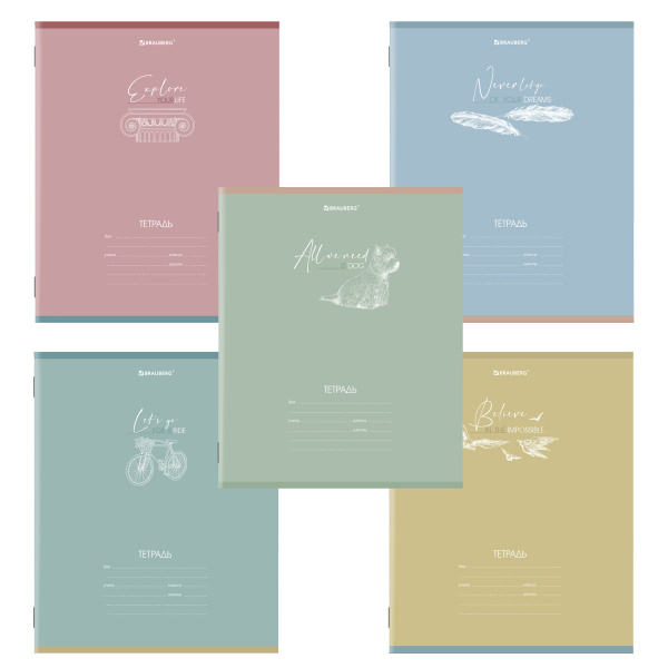 Тетрадь 24 л. BRAUBERG клетка, обложка картон, "PASTEL", 1 шт, 106486