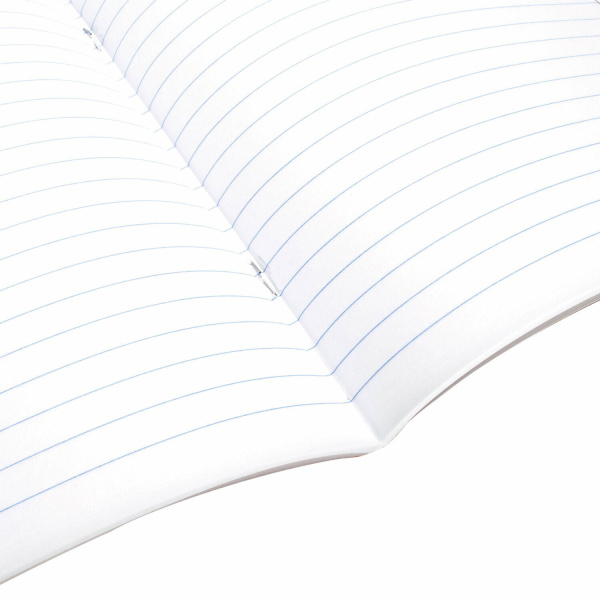 Тетрадь предметная "МИР ЗНАНИЙ" 36 л., обложка мелованная бумага, ЛИТЕРАТУРА, линия, BRAUBERG, 404601 - Тетради предметные