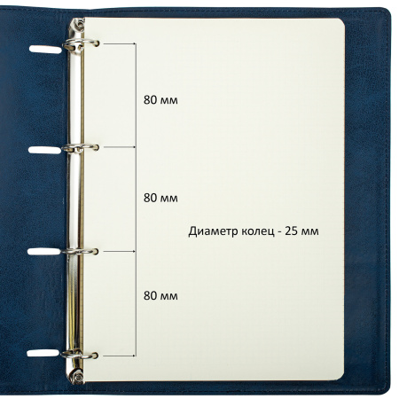 Тетрадь на кольцах БОЛЬШАЯ А4 (240х310 мм), 120 листов, под кожу, клетка, BRAUBERG "Main", синий, 404510 - Тетради на кольцах и сменные блоки к ним