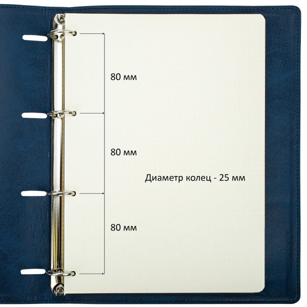 Тетрадь на кольцах БОЛЬШАЯ А4 (240х310 мм), 120 листов, под кожу, клетка, BRAUBERG "Main", синий, 404510 - Тетради на кольцах и сменные блоки к ним