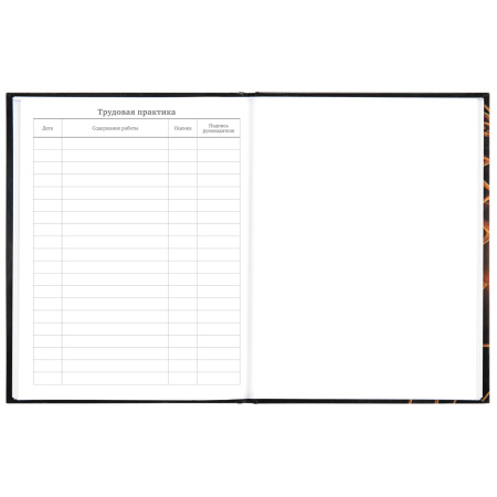 Дневник МП 1-11 класс 48 л., твердый, BRAUBERG, глянцевая ламинация, с подсказом, "Футбол", 106644 - Дневники универсальные