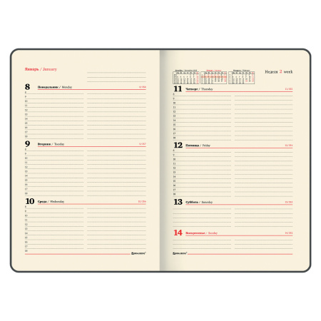 Еженедельник датированный 2024 А5 145х215 мм, BRAUBERG "Iguana", под кожу, черный, 115024 - Еженедельники