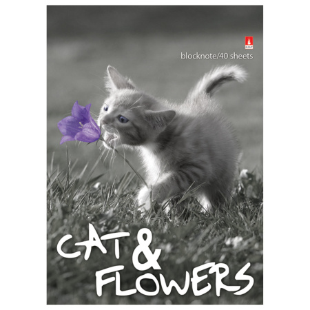 Блокнот А6, 40 л., гребень, ламинированный картон, клетка, Альт, "Котята", (5 видов), 3-40-028 - Блокноты