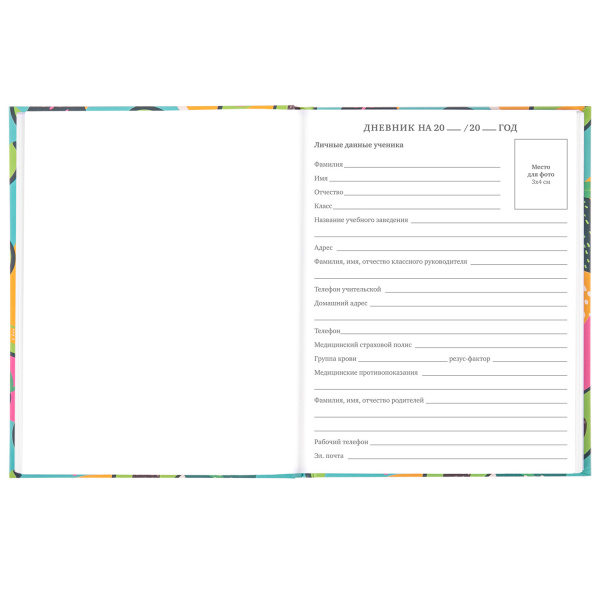 Дневник 5-11 класс 48 л., твердый, BRAUBERG, блестки, с подсказом, "Avocado", 106419 - Дневники для старших классов