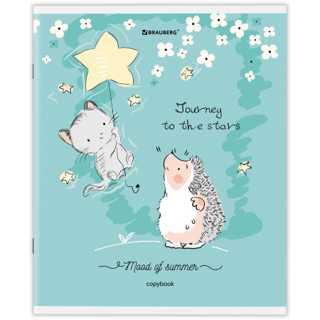 Тетрадь А5 48 л. BRAUBERG скоба, клетка, обложка картон, "Приключения Ёжика" (микс в спайке), 404366 - Тетради 40-48 листов