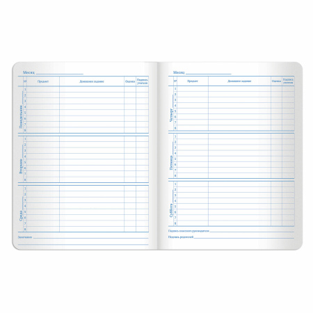 Дневник 1-11 класс 48 л., кожзам (твердая с поролоном), тиснение аппликация, BRAUBERG, "СЛАДОСТИ", 105487 - Дневники универсальные