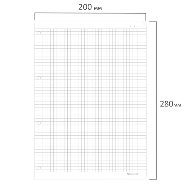 Сменный блок для тетради на кольцах БОЛЬШОЙ ФОРМАТ А4 120 л., BRAUBERG, ПОВЫШЕННОЙ ПЛОТНОСТИ, белый, 404516 - Тетради на кольцах и сменные блоки к ним
