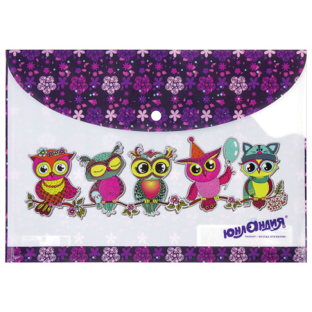 Папка-конверт с кнопкой ЮНЛАНДИЯ "Умные совы", А4, 160 мкм, до 100 листов, цветная печать, 228047 - Папки-конверты с кнопкой