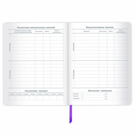 Дневник 1-11 класс 48 л., кожзам (гибкая), термотиснение, фольга, BRAUBERG, "Panda", 106171 - Дневники универсальные