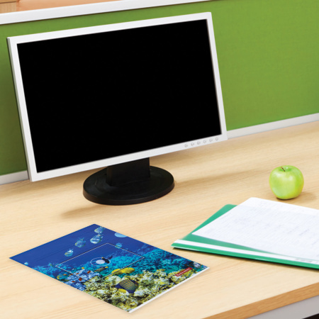 Папка-уголок BRAUBERG "SEA WORLD", А4, 150 мкм, цветная печать, 228042 - Папки-уголки пластиковые