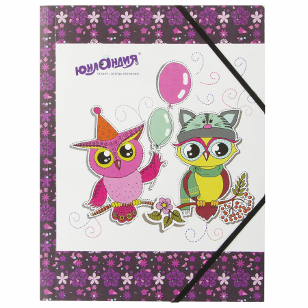 Папка на резинках ЮНЛАНДИЯ "Умные совы", А4, цветная печать, до 300 листов, 500 мкм, 228048 - Папки на резинках пластиковые
