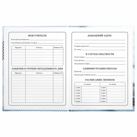 Дневник 1-4 класс 48 л., твердый, BRAUBERG, выборочный лак, с подсказом, "Авто Мечты", 106363 - Дневники для младших классов