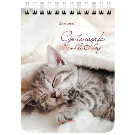Блокнот МАЛЫЙ ФОРМАТ А6 108х145 мм, 40 л., гребень, картон, клетка, BRAUBERG, "Милые котята", 114391 - Блокноты