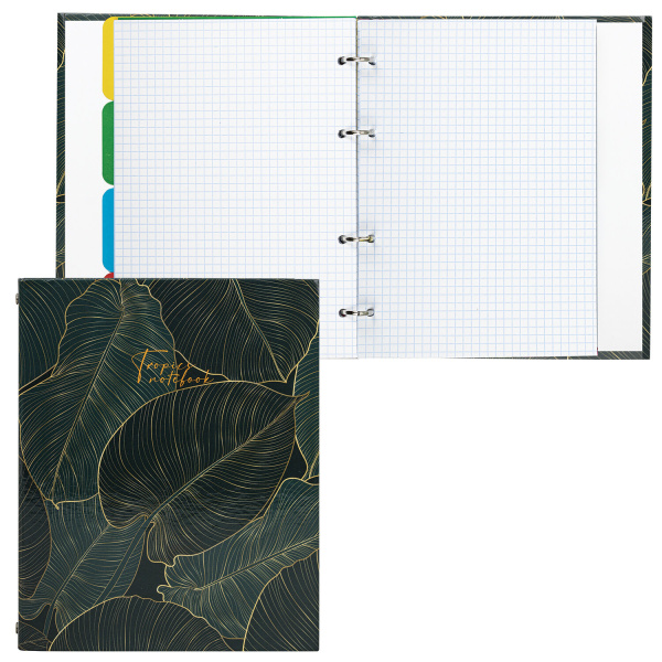 Тетрадь на кольцах А5 (175х215 мм), 240 листов, твердый картон, клетка, с разделителями, BRAUBERG, Листья, 404099 - Тетради на кольцах и сменные блоки к ним