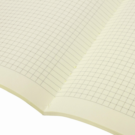 Тетради 60 л. в клетку обложка гладкий кожзам, НАБОР 2 шт., сшивка, B5 (179х250 мм), BRAUBERG VIVA, 403900 - Тетради более 60 листов