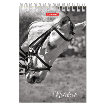 Блокнот А5 146х205 мм, 60 л., гребень, картон, жесткая подложка, клетка, BRAUBERG, "Животные", 129810 - Блокноты