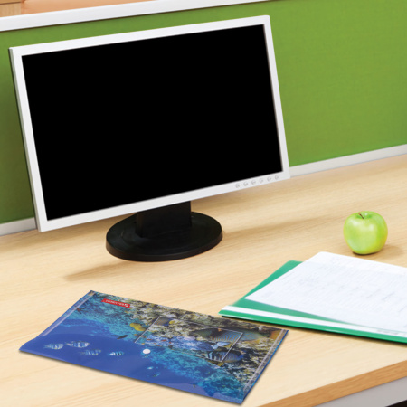 Папка-конверт с кнопкой BRAUBERG "SEA WORLD", А4, 160 мкм, до 100 листов, цветная печать, 228041 - Папки-конверты с кнопкой