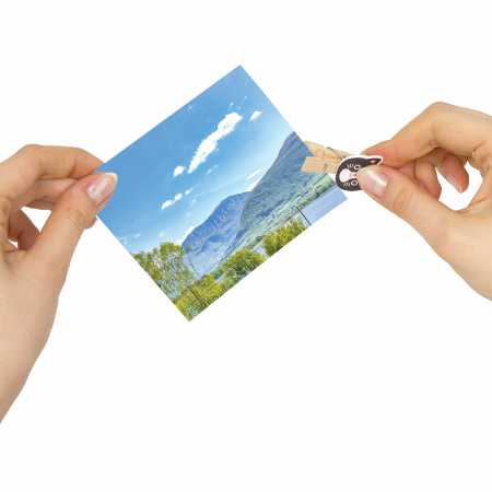 Прищепки декоративные "Забавные животные", 10 штук, 3,5 см, ассорти, со шпагатом, ОСТРОВ СОКРОВИЩ, 662672 - Прищепки для творчества