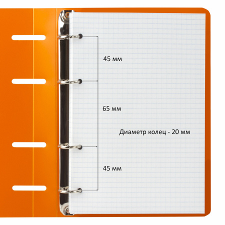 Тетрадь на кольцах А5 160х215 мм, 80 л., пластик, клетка, BRAUBERG, "Оранжевый", 403253 - Тетради на кольцах и сменные блоки к ним