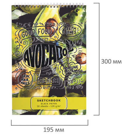 Скетчбук, черная бумага 120 г/м2, 195х300 мм, 30 л., гребень, SoftTouch, выборочный лак, "Авокадо", 97644 - Альбомы, скетчбуки и бумага для графики и эскизов