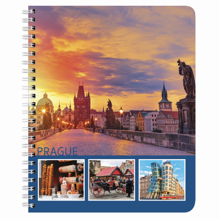 Тетрадь А5, 96 л., BRAUBERG, гребень, клетка, обложка картон, СТРАНЫ, 403068 - Тетради более 60 листов