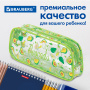Пенал-косметичка BRAUBERG LUCENT на молнии, прозрачный, "Avocado", 21х5х9 см, 270054 - Пеналы мягкие