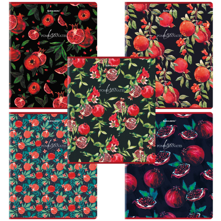 Тетрадь А5, 48 л., BRAUBERG, скоба, клетка, матовая ламинация, выборочный лак, "Гранаты" (микс в спайке), 404376 - Тетради 40-48 листов