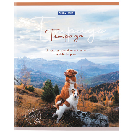 Тетрадь А5 48 л. BRAUBERG скоба, клетка, обложка картон, "Best Friends" (микс в спайке), 404360 - Тетради 40-48 листов