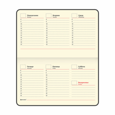 Еженедельник недатированный МАЛЫЙ ФОРМАТ А6 (95х155 мм) BRAUBERG "Alligator", кожзам, 64 л., коричневый, 126183 - Еженедельники
