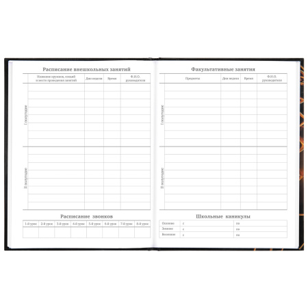 Дневник МП 1-11 класс 48 л., твердый, BRAUBERG, глянцевая ламинация, с подсказом, "Футбол", 106644 - Дневники универсальные