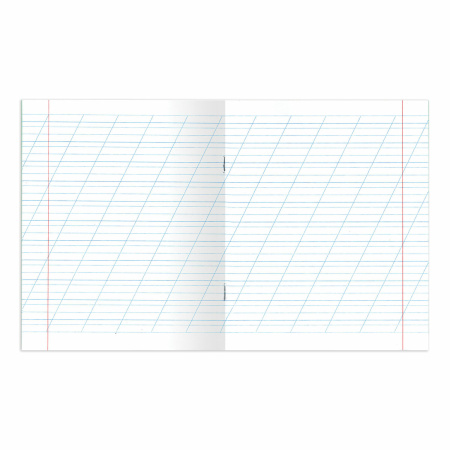 Тетради 12 л. КОМПЛЕКТ 20 шт. BRAUBERG "ВЕЛИКИЕ ИМЕНА", косая С ДОПОЛНИТЕЛЬНОЙ ГОРИЗОНТАЛЬНОЙ, бумага 80 г/м2, 880017 - Тетради 12-24 листов