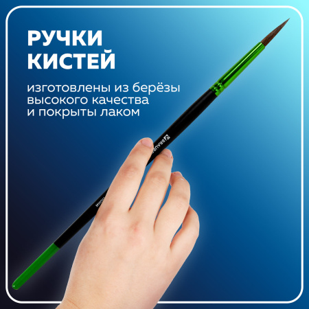Кисти BRAUBERG PREMIUM, набор 10 шт. (круглые пони - 5 шт., синтетика - 3 шт., плоские щетина - 2 шт.), блистер, 201023 - Кисти для рисования