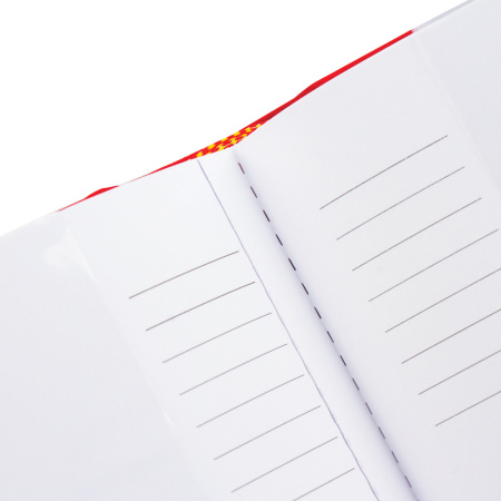 Фотоальбом BRAUBERG на 200 фото 10х15 см, под кожу, бумажные страницы, бокс, красный, 391193 - Фотоальбомы