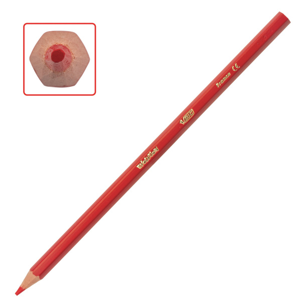 Карандаши цветные BIC "Kids ECOlutions Evolution", 12 ЦВЕТОВ, пластиковые, европодвес, 82902914 - Карандаши цветные