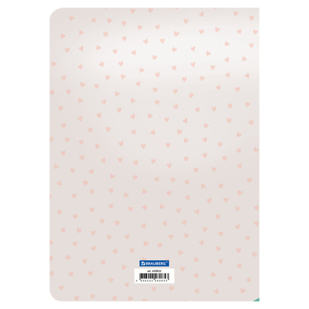 Тетради-скетчбуки 60 л. обложка SoftTouch, НАБОР 2 шт., бежевая бумага 70 г/м2, сшивка, B5 (179х250 мм), ROMANTIC, BRAUBERG, 403832 - Тетради более 60 листов