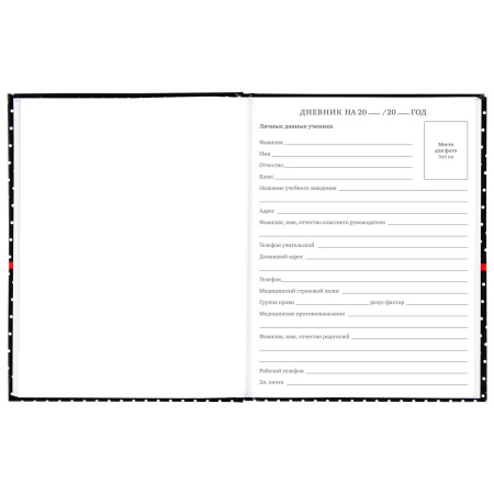 Дневник 5-11 класс 48 л., твердый, BRAUBERG, глянцевая ламинация, с подсказом, "Стиль", 106392 - Дневники для старших классов