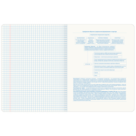 Тетрадь предметная со справочным материалом ORIGINAL 48 л., TWIN лак, ОБЩЕСТВОЗНАНИЕ, клетка, BRAUBERG, 404298 - Тетради предметные