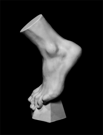 Стопа вертикальная 14*23,5*38 (20-215)