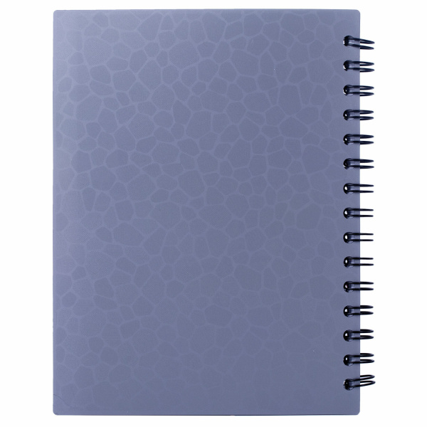 Тетрадь-блокнот 120 л., A5, 170x215 мм, BRAUBERG, линия, гребень, обложка пластиковая, 4 разделителя, "Rich", 401791 - Тетради-блокноты