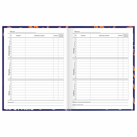 Дневник 1-11 класс 40 л., твердый, BRAUBERG, глянцевая ламинация, "Skateboarder", 106617 - Дневники универсальные