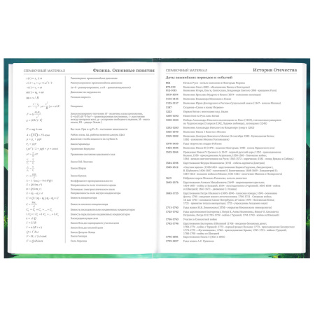 Дневник 5-11 класс 48 л., твердый, BRAUBERG, глянцевая ламинация, с подсказом, "Мир Будущего", 106627 - Дневники для старших классов