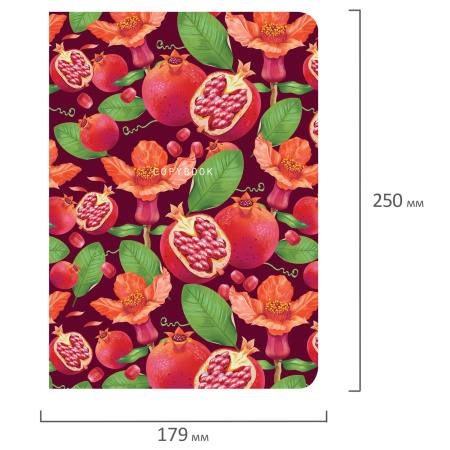 Тетрадь 60 л. в линию обложка SoftTouch, бежевая бумага 70 г/м2, сшивка, В5 (179х250 мм), ГРАНАТ, BRAUBERG, 403824 - Тетради более 60 листов