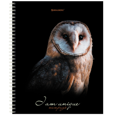 Тетрадь А5 96 л. BRAUBERG, гребень, клетка, твёрдая обложка, "Совы" (4 вида в спайке), 404443 - Тетради более 60 листов