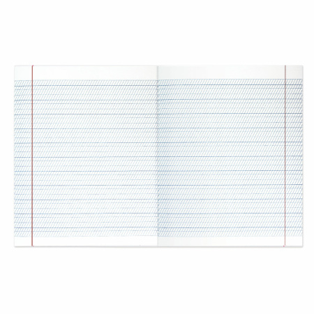 Тетради 12 л. КОМПЛЕКТ 20 шт. BRAUBERG "ВЕЛИКИЕ ИМЕНА", частая косая С ДОПОЛНИТЕЛЬНОЙ ГОРИЗОНТАЛЬНОЙ, 80 г/м,880022 - Тетради 12-24 листов