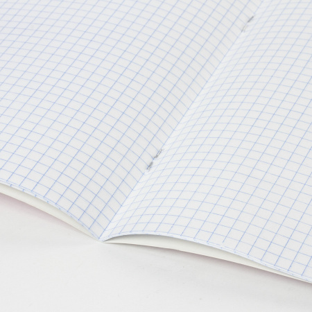 Тетради 12 л. КОМПЛЕКТ 20 шт. BRAUBERG "EXTRA", клетка, плотная бумага 80 г/м2, обложка картон, 880068 - Тетради 12-24 листов