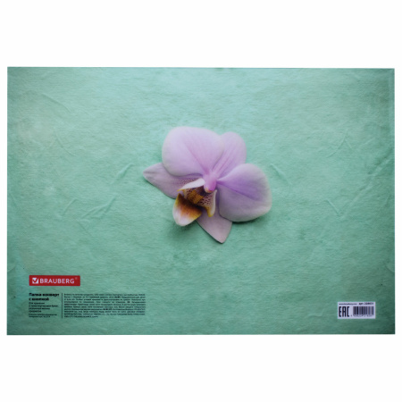 Папка-конверт с кнопкой BRAUBERG "FLOWER", А4, 160 мкм, до 100 листов, цветная печать, 228031 - Папки-конверты с кнопкой