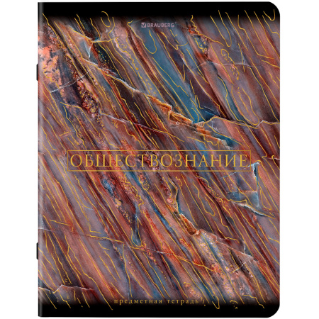 Тетради предметные, КОМПЛЕКТ 12 ПРЕДМЕТОВ, "MARBLE", 48 л., SoftTouch, фольга, BRAUBERG, 404326 - Тетради предметные