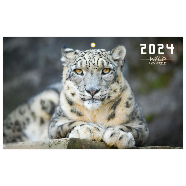 Календарь квартальный на 2024г, 3 блока 3 гребня с бегунком, мел.бум, Ирбис, BRAUBERG, 115293 - Календари настенные