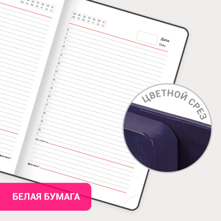 Ежедневник с магнитным клапаном недатированный, под кожу, А5, фиолетовый, BRAUBERG "Magnetic X", 113282 - Ежедневники с покрытием "под кожу и ткань"