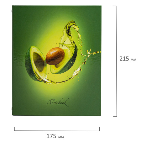 Тетрадь на кольцах А5 (175х215 мм), 240 листов, твердый картон, клетка, с разделителями, BRAUBERG, Авокадо, 404098 - Тетради на кольцах и сменные блоки к ним